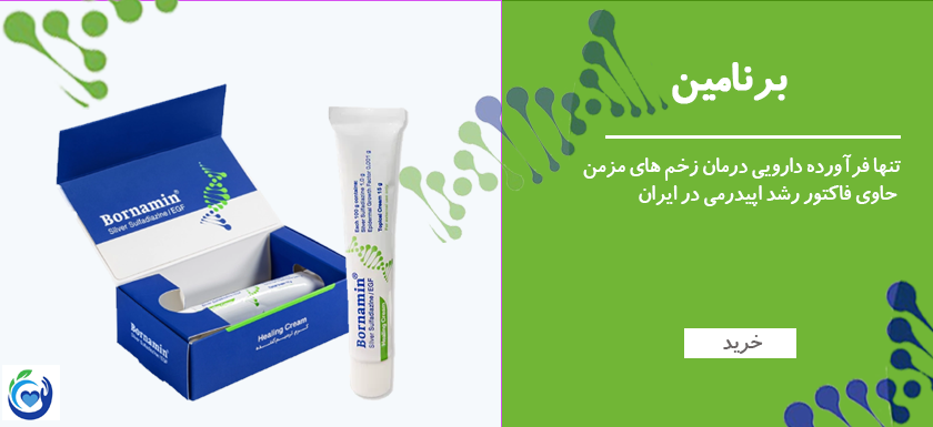 برنامین